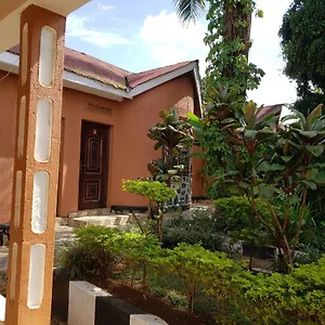 https://gorilla-african-guest-house.about-kampalahotels.com